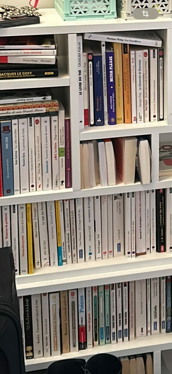 Paire d’étagères blanches – Image 4